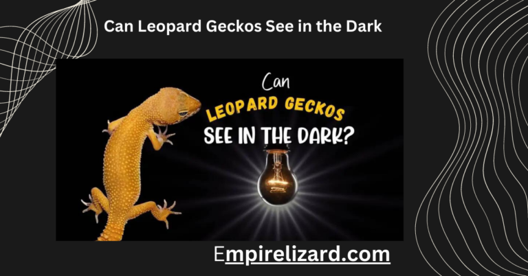 Can Leopard Gecko See At Night