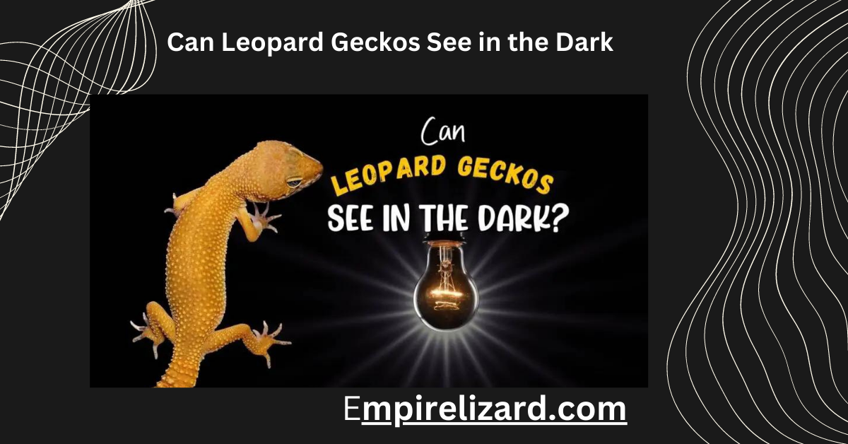 Can Leopard Geckos See in the Dark