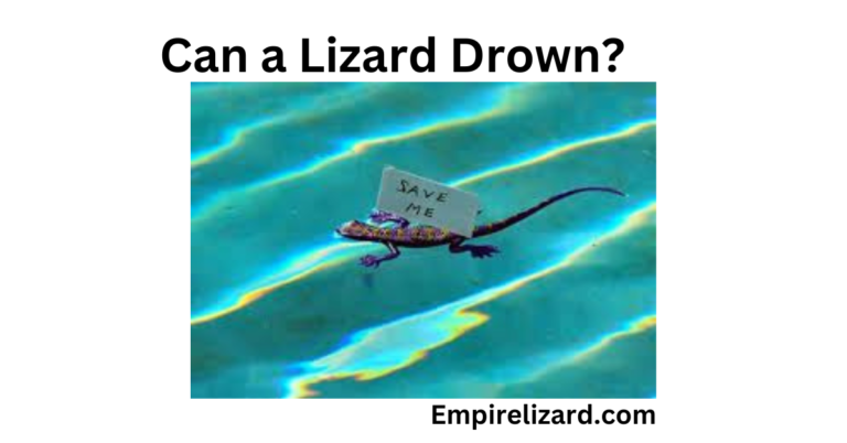 Can a Lizard Drown