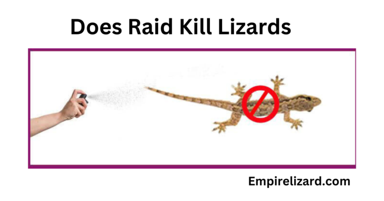 Does Raid Kill Lizards