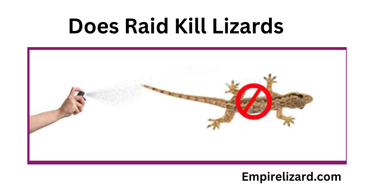 Does Raid Kill Lizards