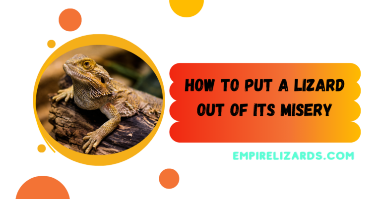 How to Put a Lizard out of its Misery