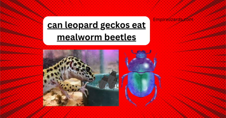 Can Leopard Geckos Eat Mealworm Beetles? Exploring the Nutritional Pros and Cons