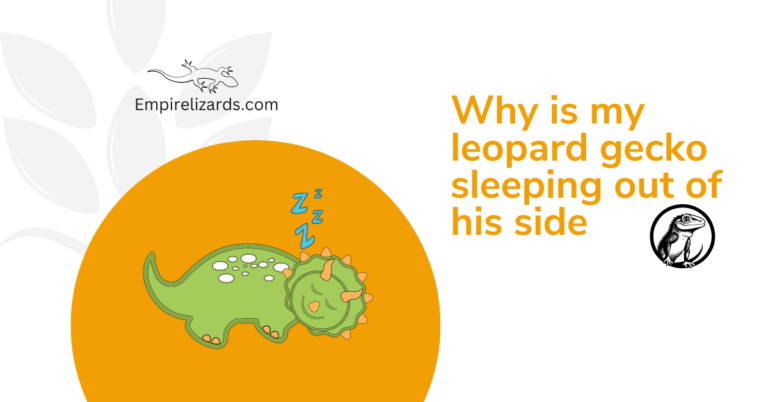 Why is My Leopard Gecko Sleeping out of His Hide? Unlock the Mystery